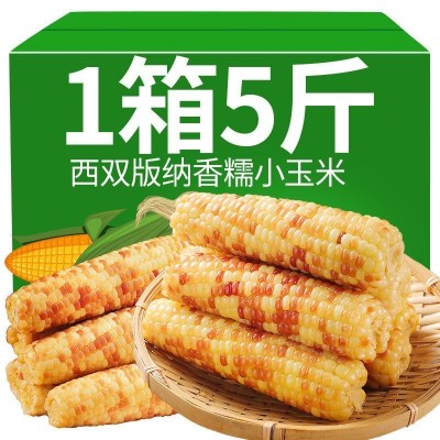 滇品客西双版纳小花糯玉米即食小玉米云南特产早餐代餐批发