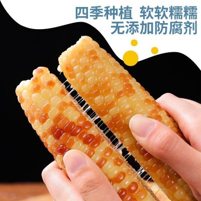 滇品客西双版纳小花糯玉米即食小玉米云南特产早餐代餐批发图4