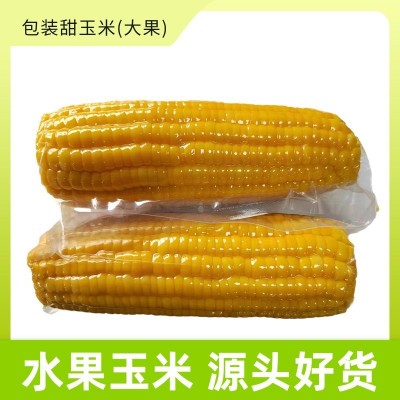 源头厂家直销水果玉米批发真空包装爽脆多汁开袋即食散装甜玉米