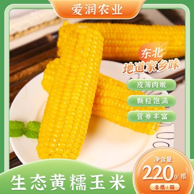 黄糯玉米8支装生态甜糯玉米真空包装代餐食品苞米代发包邮