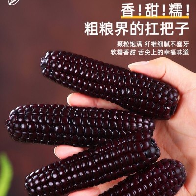 云南西双版纳拇指玉米新鲜真空手指小玉米迷你现摘甜白香糯宝宝餐图4