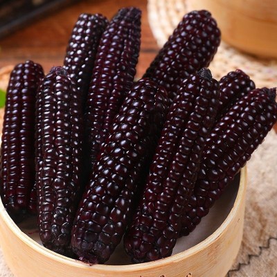 云南西双版纳拇指玉米新鲜真空手指小玉米迷你现摘甜白香糯宝宝餐图3