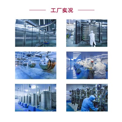 顶能源头工厂加工定制OEM冻干叉烧肉片 冷冻真空干燥肉制品图4