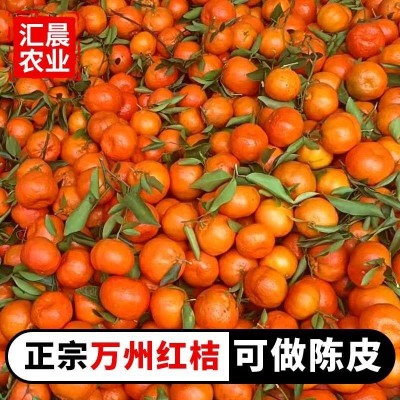大红袍红桔原产地果园直销皮薄多汁口感酸甜可做陈皮的万县红桔图4