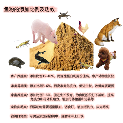 昌晟供应 鱼粉68蛋白秘鲁 原装进口 TASA 海都 砖石等图2