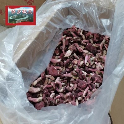 广西特产大红菌干货散装香甜红面菇厂家批发正红菇红蘑菇月子菇图3