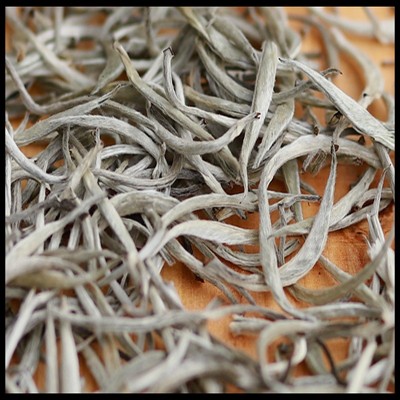 景谷普洱生茶云南大白毫白茶茶叶散装古树银针大白芽500g图2
