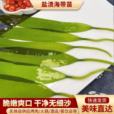 薄嫩海带苗串串店关东煮麻辣烫火锅食材商用批发裙带菜凉拌菜200g图2