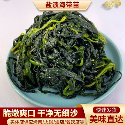 薄嫩海带苗串串店关东煮麻辣烫火锅食材商用批发裙带菜凉拌菜200g图3