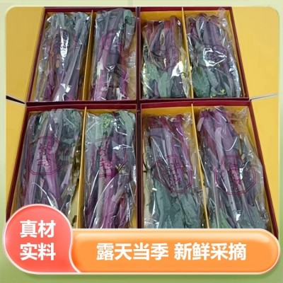 非物质文化遗产红菜薹 原产地菜薹蔬菜 谷垛农业图4
