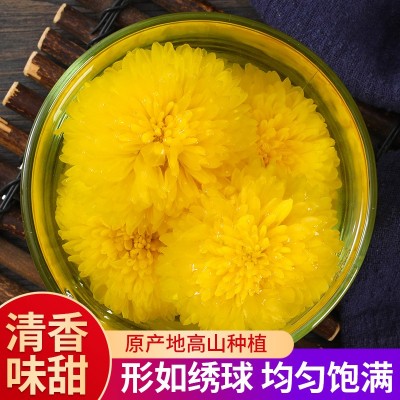 头茬大朵婺源徽州皇菊 高山黄菊一朵一杯去火下火黄山菊花50g罐装图2