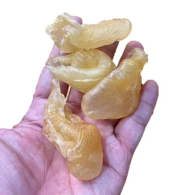 海味干货鸡蛋胶酒店供应花胶鱼胶螂蝶胶叶子胶孕妇滋养品批发代发图5