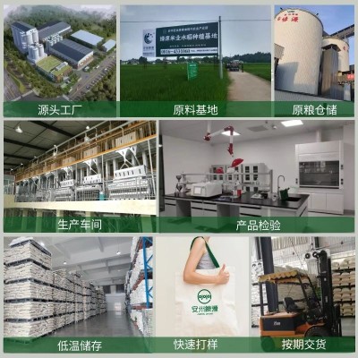 员工福利一件代发大米5kg 长粒香米10斤装丝苗米图3