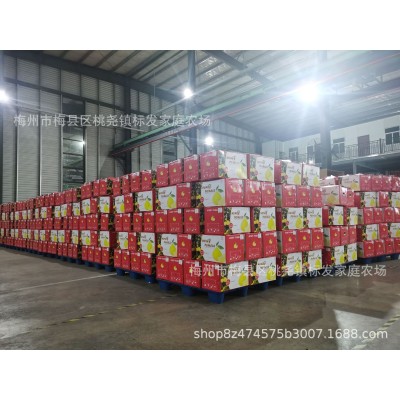 梅州红心蜜柚出口海外包装 自家农场果园种植出口资质齐全GAP证书图2