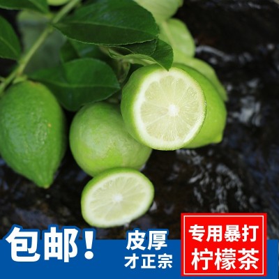 自家果园广东香水柠檬新鲜现摘无籽奶茶店专用一级青柠檬当季批发图2