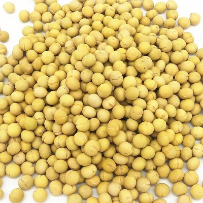 熟黄豆 现磨打豆浆专用原料熟大粒黄豆批发 低温烘焙熟五谷杂粮图4