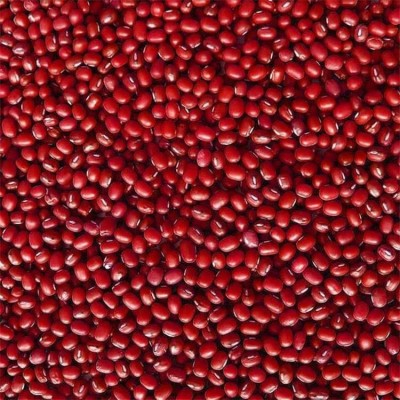 当季新货东北小珍珠红小豆大量现货批发农家自产五谷杂粮一件代发图4