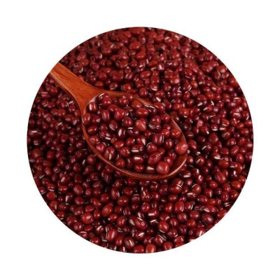 当季新货东北小珍珠红小豆大量现货批发农家自产五谷杂粮一件代发图5