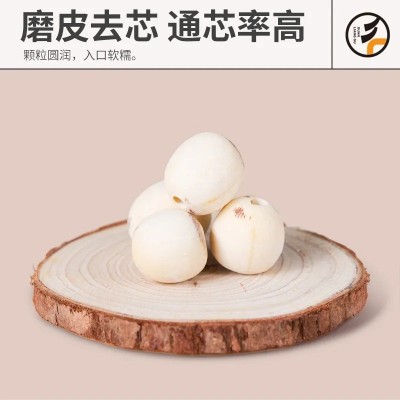 磨皮莲子批发厂家直销通芯新货干货去芯小白莲杂粮特产一件代发图3