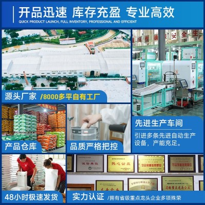 磨皮莲子批发厂家直销通芯新货干货去芯小白莲杂粮特产一件代发图4
