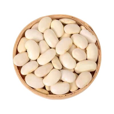 云南大白芸豆 新货大芸豆批发39斤 商用批发 白腰豆豆类五谷杂粮图5