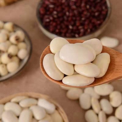 云南大白芸豆 新货大芸豆批发39斤 商用批发 白腰豆豆类五谷杂粮图2