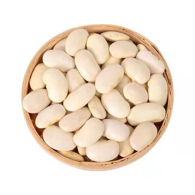 云南大白芸豆 新货大芸豆批发39斤 商用批发 白腰豆豆类五谷杂粮图4