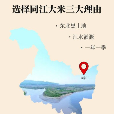 东北大米5kg黑龙江江水灌溉长粒香10斤当季新米长粒香米现货批发图3