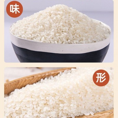 东北大米25kg黑龙江珍珠米50斤当季新米江水灌溉珍珠米东北大米图2