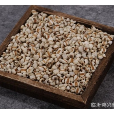 现货批发五谷杂粮薏仁米产地批发贵州薏米 散装薏苡仁 薏米仁图4
