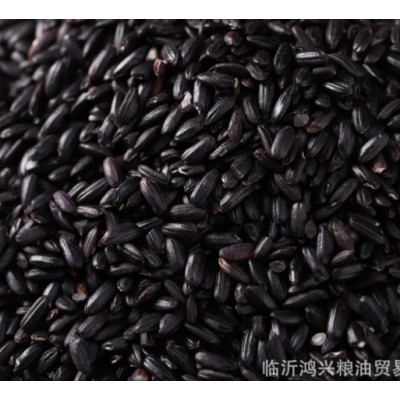 东北黑香米大量批发黑米 五谷杂粮粗粮黑米 黑大米 量大从优图5