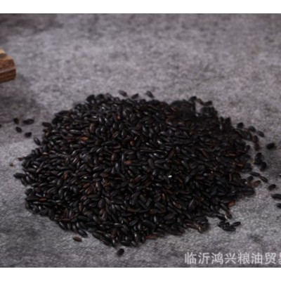 东北黑香米大量批发黑米 五谷杂粮粗粮黑米 黑大米 量大从优图2