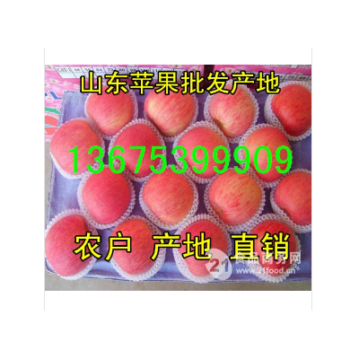 今日山东苹果产地销售行情图5