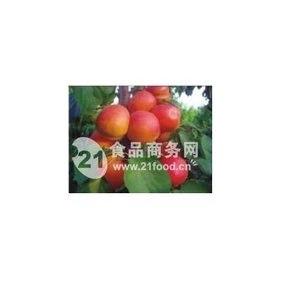 陕西桃子产地，桃子价格