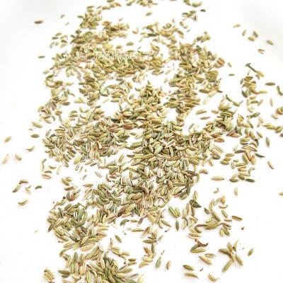 乐畅小茴香 小茴香粉调味香料调料大全图5
