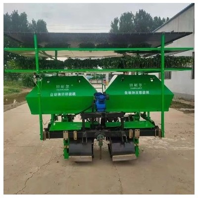 福瑞特 莴苣 甘蓝 西兰花 番茄移 栽机 全自动幼苗移栽机图2