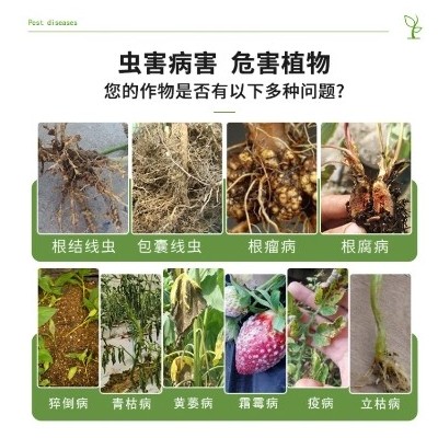 水溶肥 作物健康天然保障肥 抑菌杀虫 提质增产增收肥料 提升土壤肥力图5