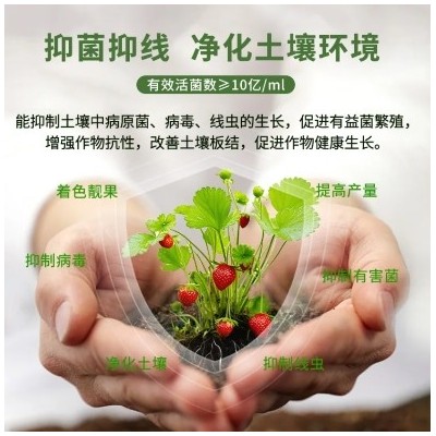 水溶肥 作物健康天然保障肥 抑菌杀虫 提质增产增收肥料 提升土壤肥力图4