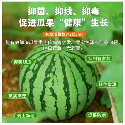 预防线虫专用水溶肥 瓜果健康天然保障肥 抑菌抑制线虫 净化土壤肥料图4