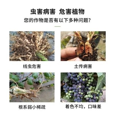 预防线虫专用水溶肥 瓜果健康天然保障肥 抑菌抑制线虫 净化土壤肥料图5