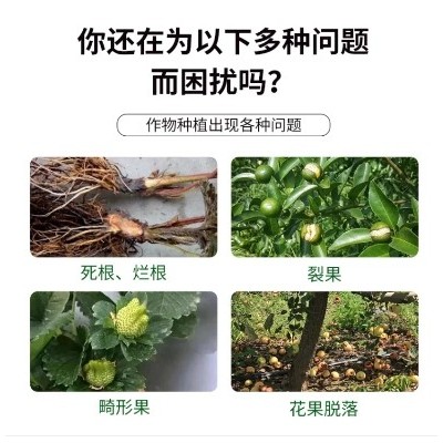 生根壮根 保花保果水溶肥 植物源 动物源 矿物源 微生物菌肥 防畸防裂图4