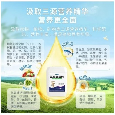 生根壮根 保花保果水溶肥 植物源 动物源 矿物源 微生物菌肥 防畸防裂图5