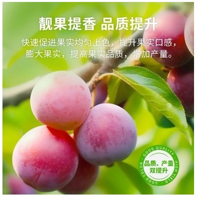 福赛福转色增甜水溶肥 生物碳复合酶 瓜果上色着色 新型生态有机肥图5