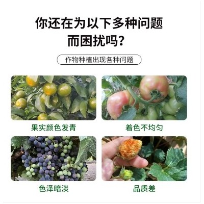 福赛福转色增甜水溶肥 生物碳复合酶 瓜果上色着色 新型生态有机肥图4