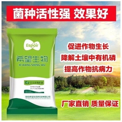 希望生物巨大芽孢杆菌解磷解钾菌种改良土壤有机肥添加图2