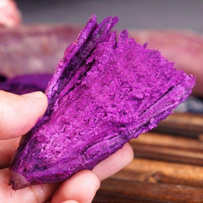 新鲜紫薯紫罗兰紫薯番薯地瓜营养代餐粉糯香甜沙地现挖现发图5