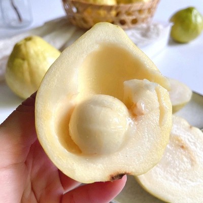 漳州土芭乐 奶油软芭乐新鲜水果当季软心芭乐果5斤白心黄金番石榴图2
