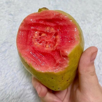 【优质鲜果】软心芭乐番石榴水果新鲜应季水果批发芭乐果红心图2