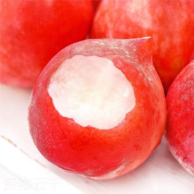 现货现摘露天水蜜桃5斤 冬脆桃毛桃当季时令整箱孕妇桃子新鲜水果图2