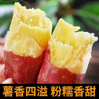 红薯新鲜沙地蜜薯板栗红薯糖心地瓜香薯山芋农家自种现挖红皮黄心图2